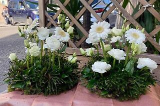 Atelier création d'un jardin fleuri à Paris 20ème
