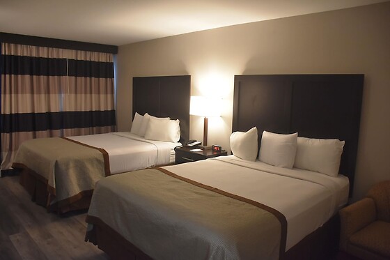Online Booking EPS - photo 2