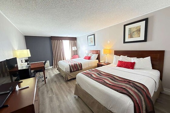 Online Booking EPS - photo 3