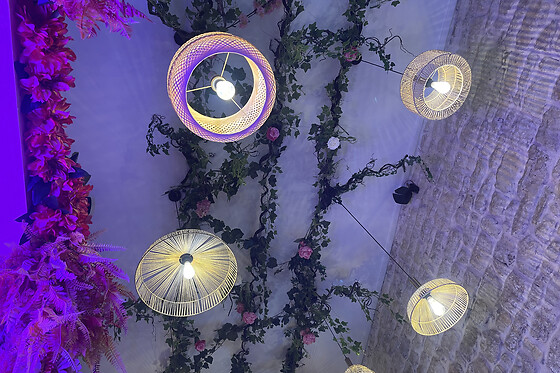 Wonderland Brunchy - photo 7