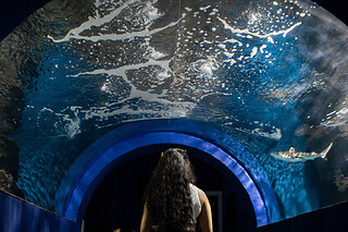 Billet pour l'Aquarium de Lanzarote