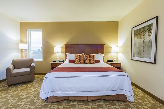 Online Booking EPS - photo 4