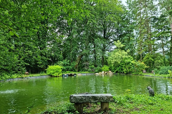 Domaine de Wail - photo 28