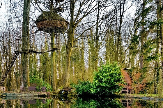 Domaine de Wail - photo 44