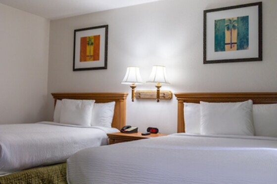 Online Booking EPS - photo 2