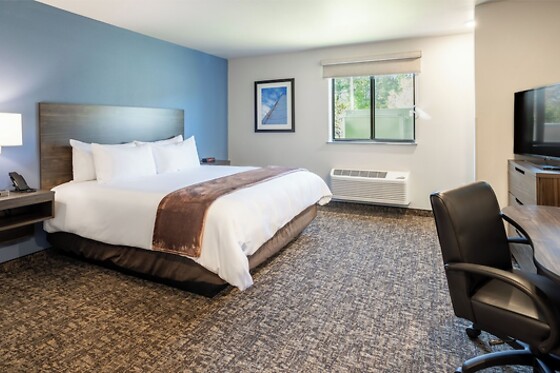 Online Booking EPS - photo 2