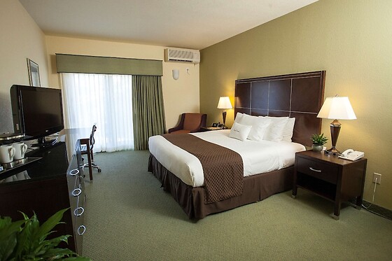 Online Booking EPS - photo 4