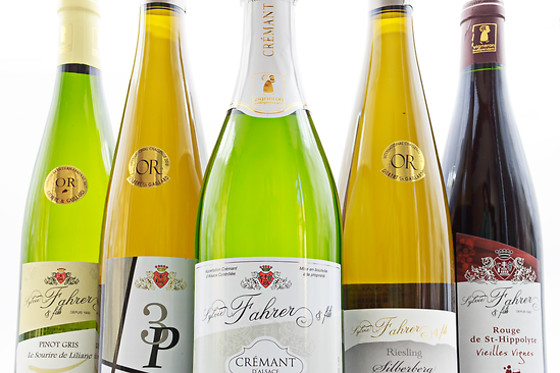 Domaine Sylvie Fahrer et Fils - photo 5