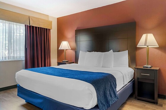 Online Booking EPS - photo 1