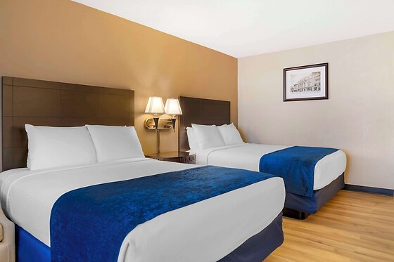 Online Booking EPS - photo 2