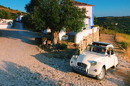 AGORASIM