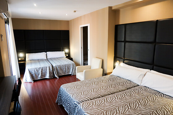 HOTEL BENETUSSER - photo 3