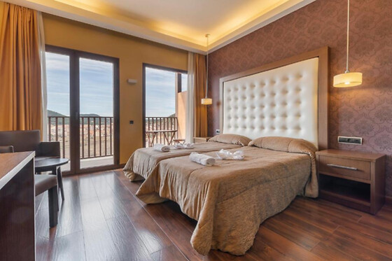 HOTEL FUENTE DEL MIRO - photo 4