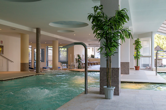 Hotel Alpine Mugon**** - photo 4