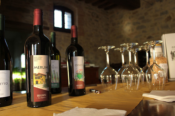 Cantina Brugnoni - photo 2
