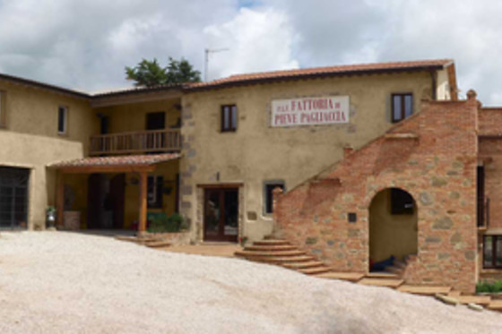 Cantina Brugnoni - photo 4