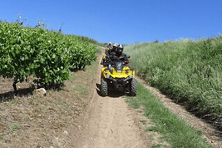 Randonnée Buggy à Couches dans les vignobles bourguignons - Randonnée Buggy Evasion - 1h30