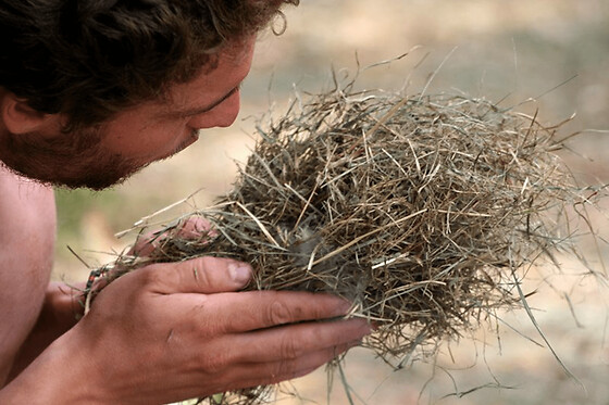 Initiation aux savoir-faire primitifs dans la Forêt de Marly