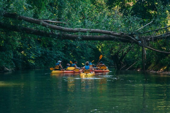 Canoe 77 - photo 3
