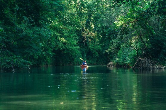 Canoe 77 - photo 4