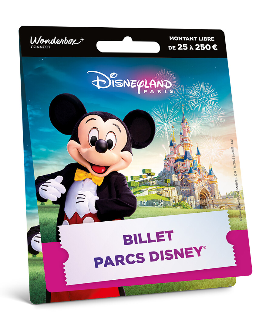 Carte Disneyland® Paris Mickey