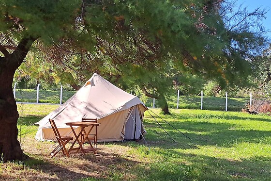Online Booking EPS - photo 0