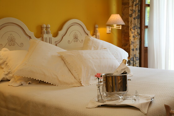 PALACIO DE LA VIÑONA - photo 15