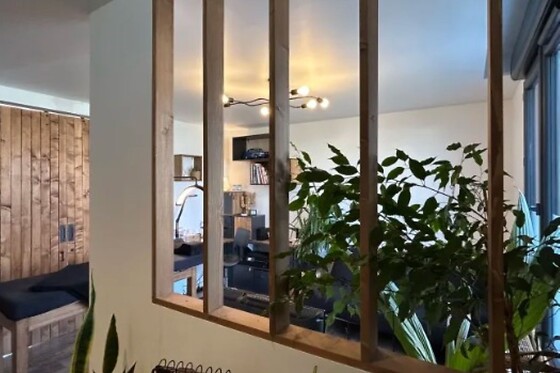 C-cils - photo 5