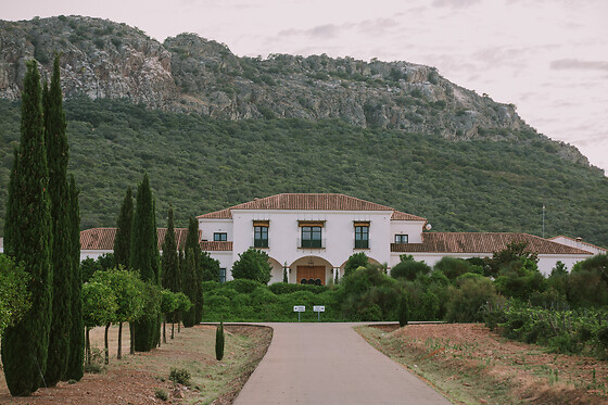 BODEGA VALDEALTO - photo 2