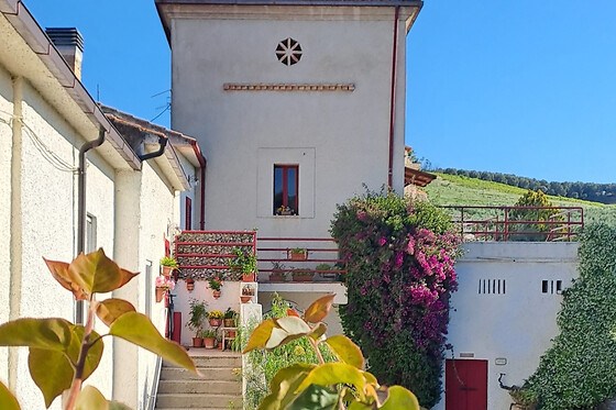 B&B Pier Delle Vigne - photo 2