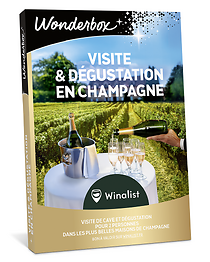 Visite & Dégustation en Champagne