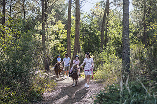 Center Parcs - 5 jours & 4 nuits