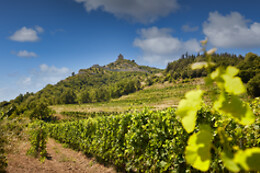 Domaine Rémy Nodin
