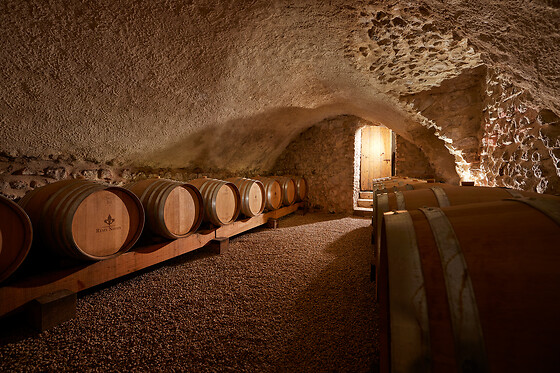 Domaine Rémy Nodin - photo 2