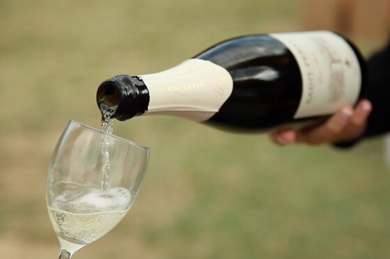Domaine Rémy Nodin - photo 3
