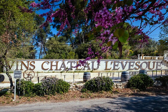 Le Château l'Evesque - photo 5