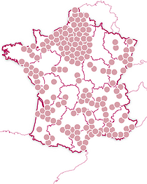 Délices d'ici et d'ailleurs