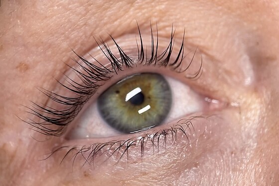 Coco Lash&Brows - photo 6