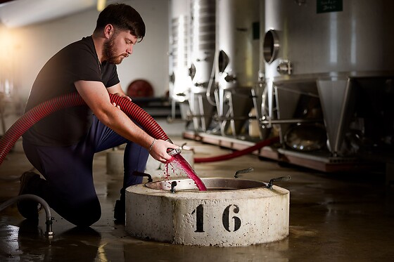 Domaine Escalin - photo 1