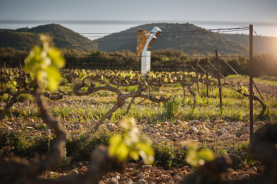 Domaine Escalin - photo 5