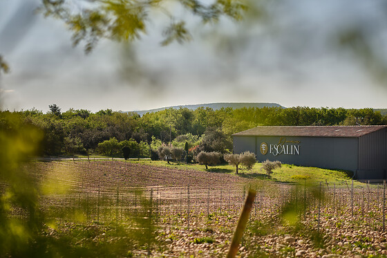 Domaine Escalin - photo 6