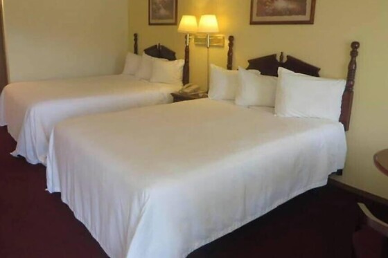 Online Booking EPS - photo 1