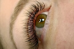 L'Eden Beauté - Extension de cils Marine Lion