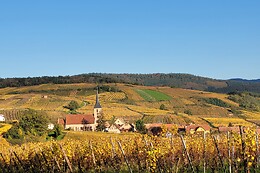 Domaine Céline Metz