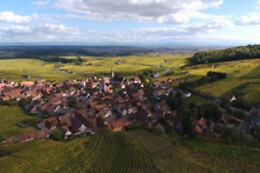 Domaine Céline Metz
