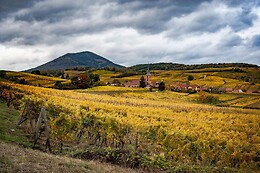 Domaine Céline Metz