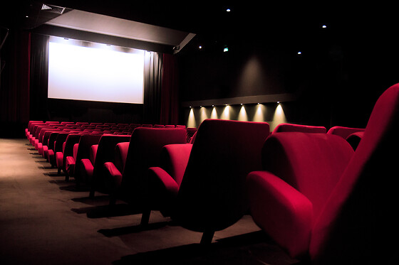 Dulac Cinémas - photo 2