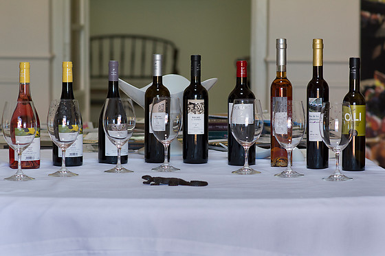 VINYES DELS ASPRES - photo 4