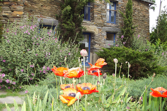 Le Clos du Tay - photo 2
