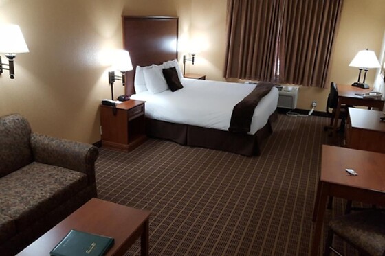 Online Booking EPS - photo 2